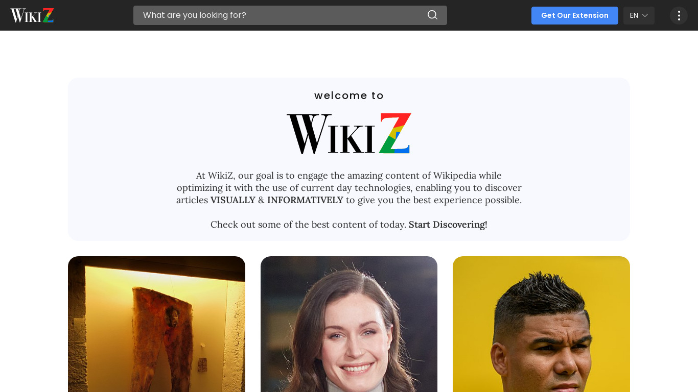 Wikiz Landing page