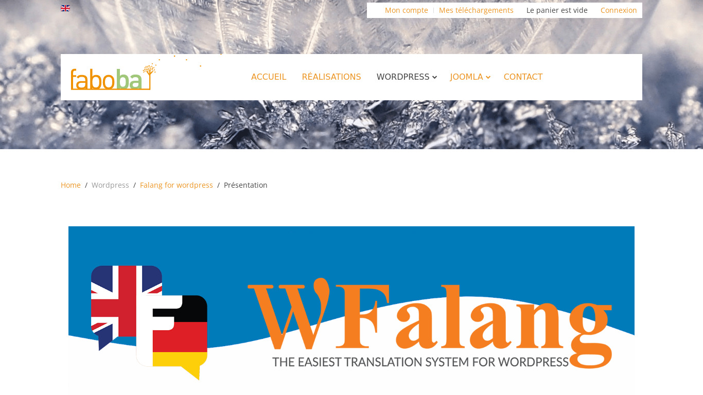 Falang multilanguage for WordPress Landing page