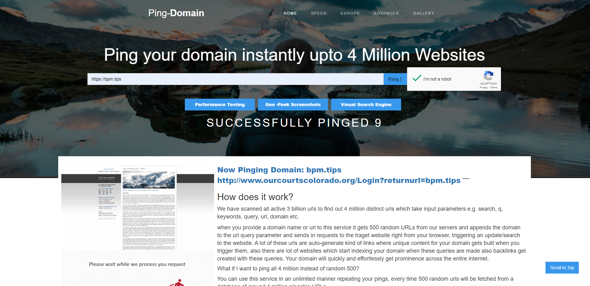 Ping Domain Landing page