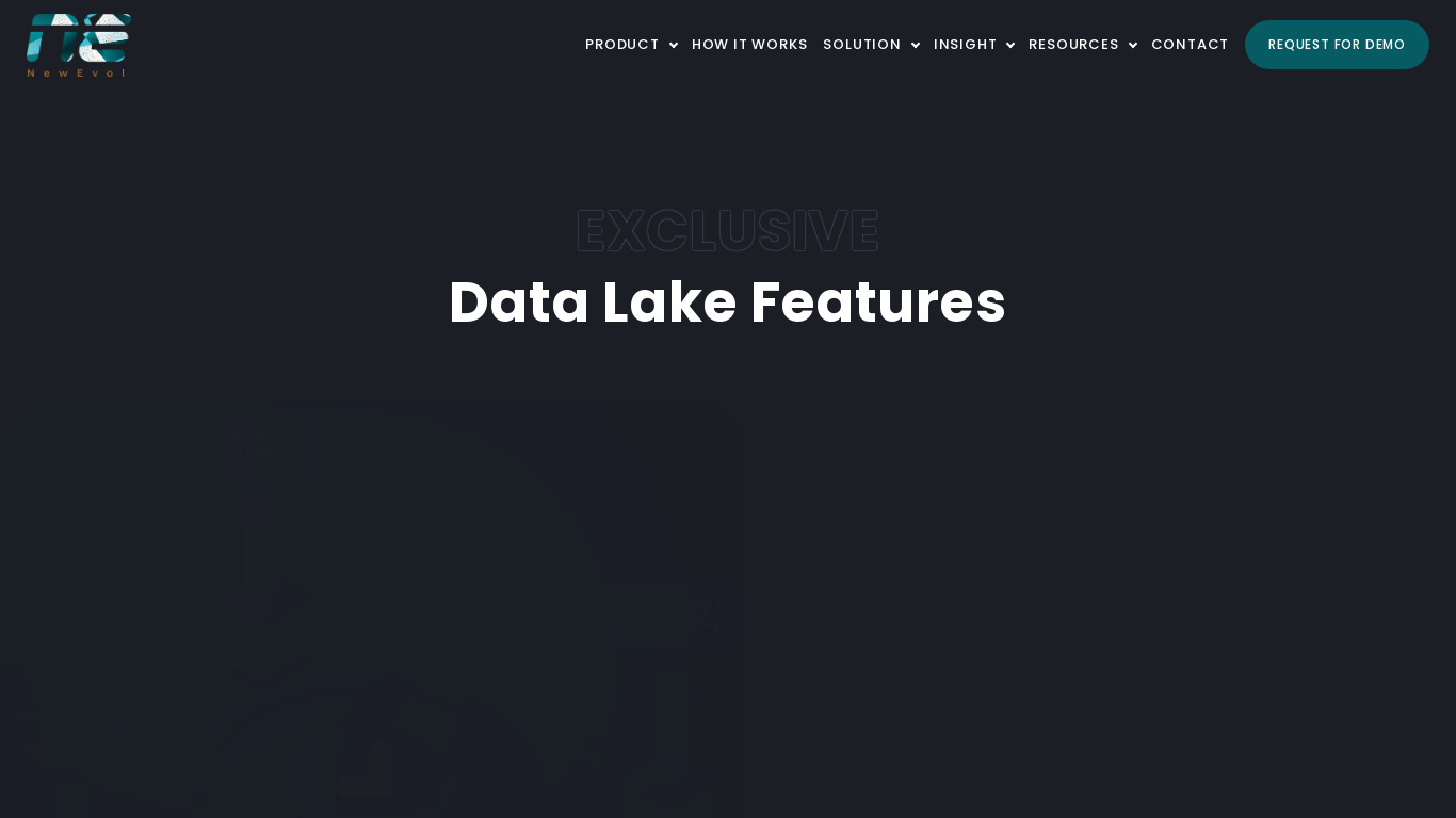 NewEvol Data Lake Solutions Landing page