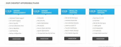 Elite Server Management image