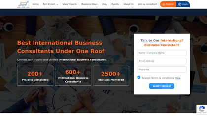 International business consultant image