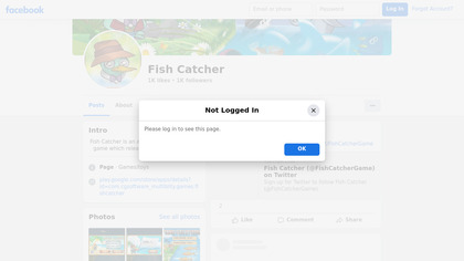 Fish Catcher image
