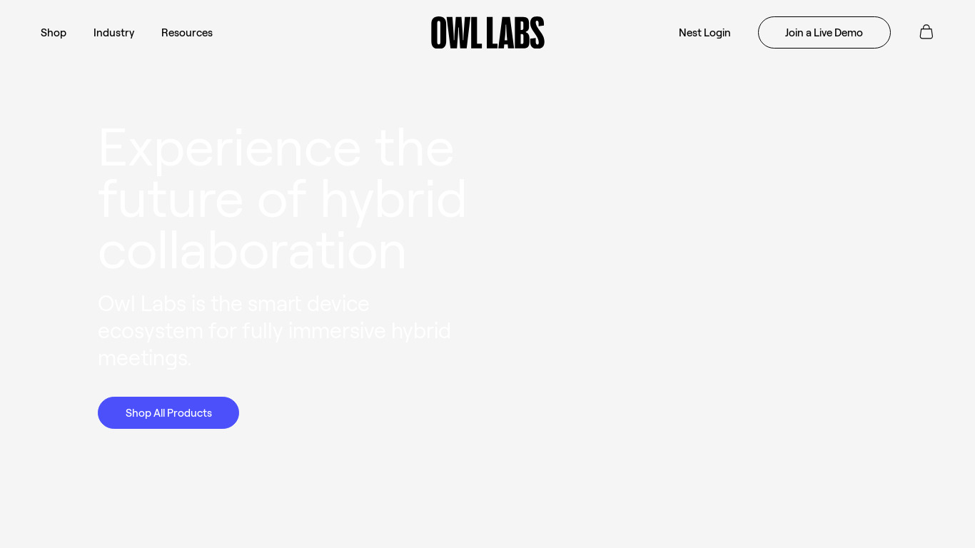 The Meeting Owl Landing page