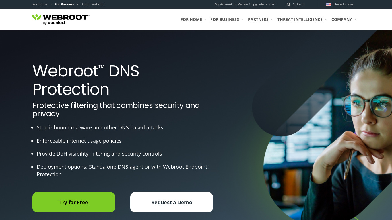 Webroot DNS Protection Landing page