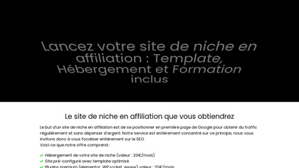 Site de niche Affiliation image