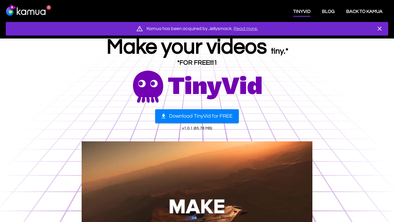 TinyVid.io Landing page