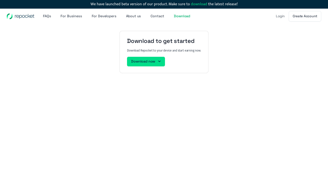 Repocket Landing page