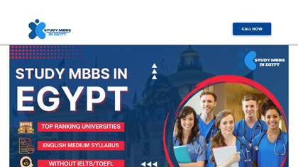 STUDY MBBS IN EGYPT image