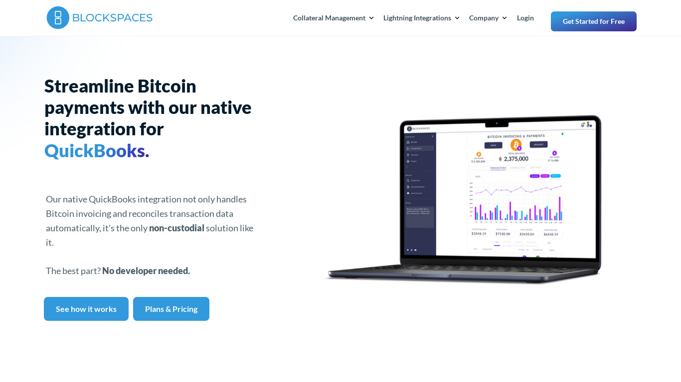 Bitcoin Invoicing & Payments Landing page