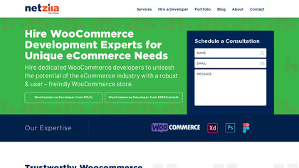 Woocommerce Developer image