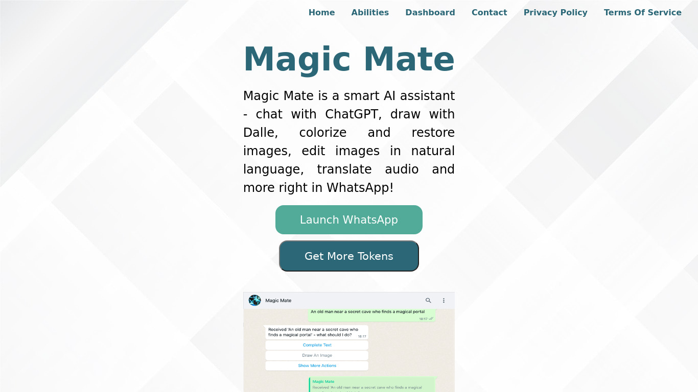 Magic Mate Landing page