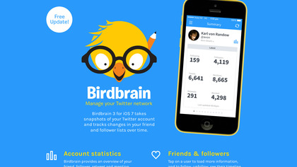 Birdbrain image
