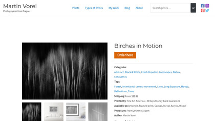 Moving birches photography print image