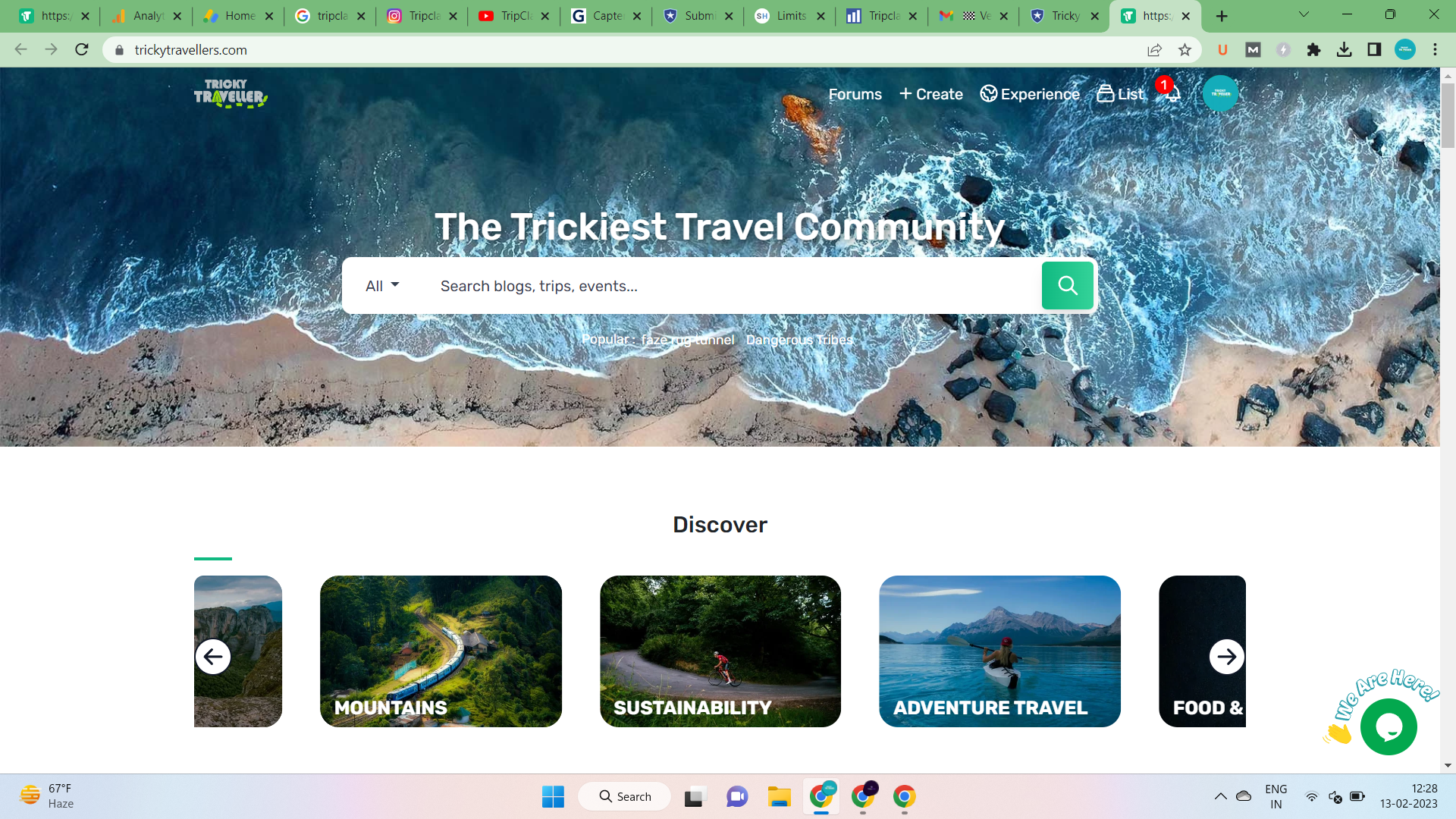 Tricky Travellers Landing page