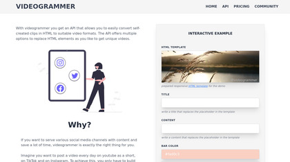 Videogrammer image