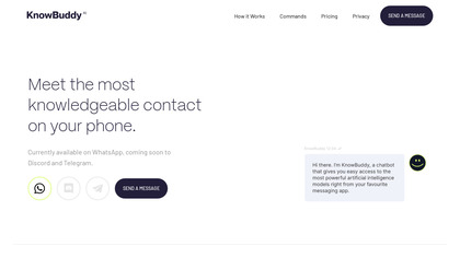 KnowBuddy.AI image