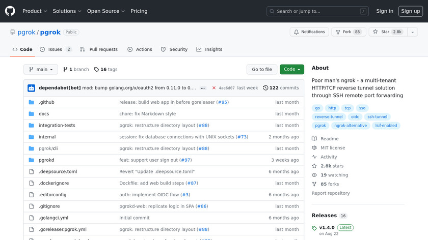 pgrok Landing Page