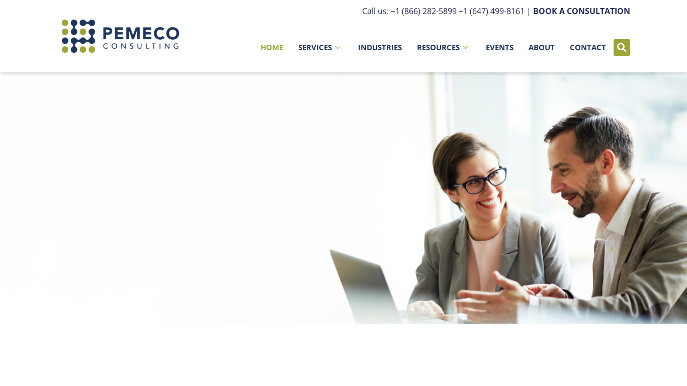 Pemeco Consulting Implementation Services Landing page