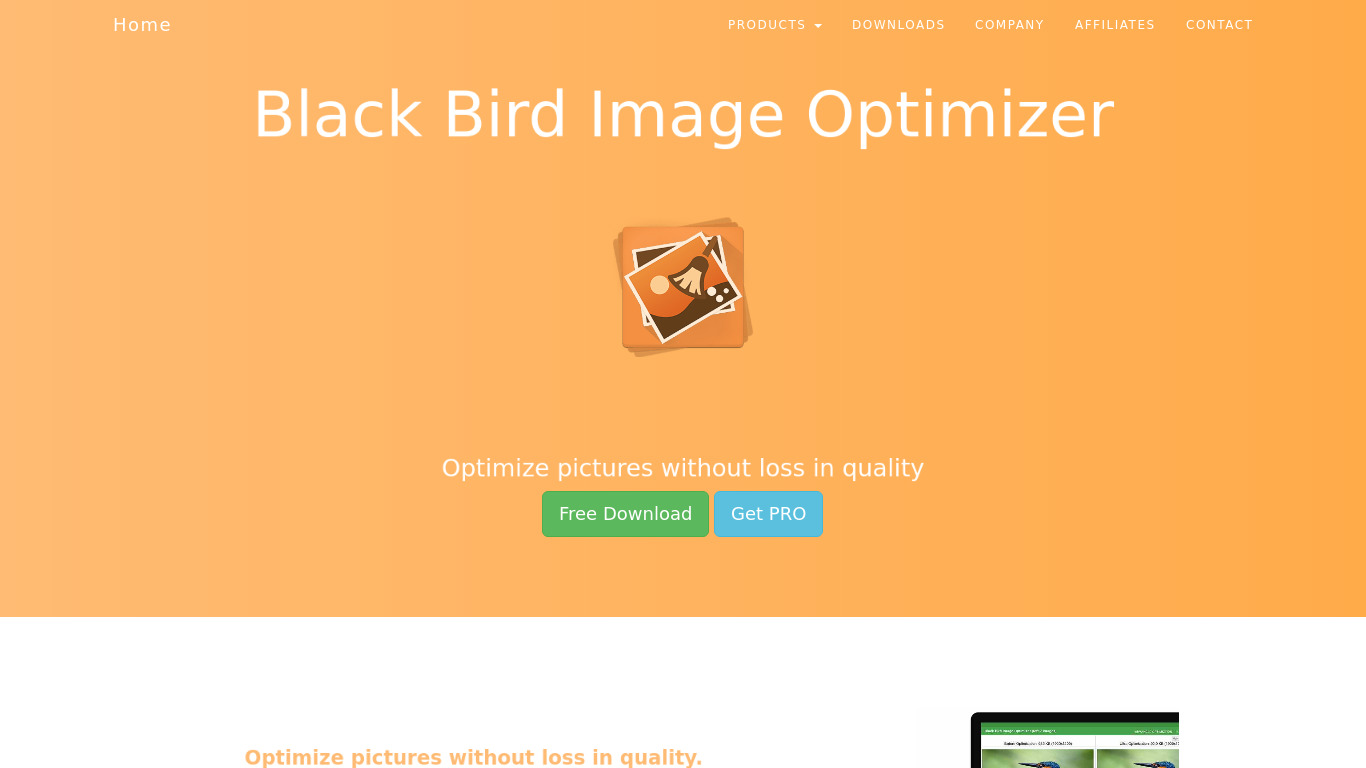 Black Bird Image Optimizer Landing page