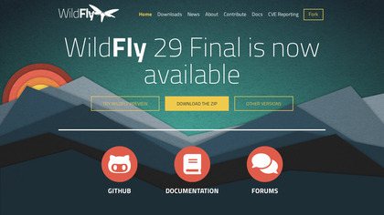 Wildfly image