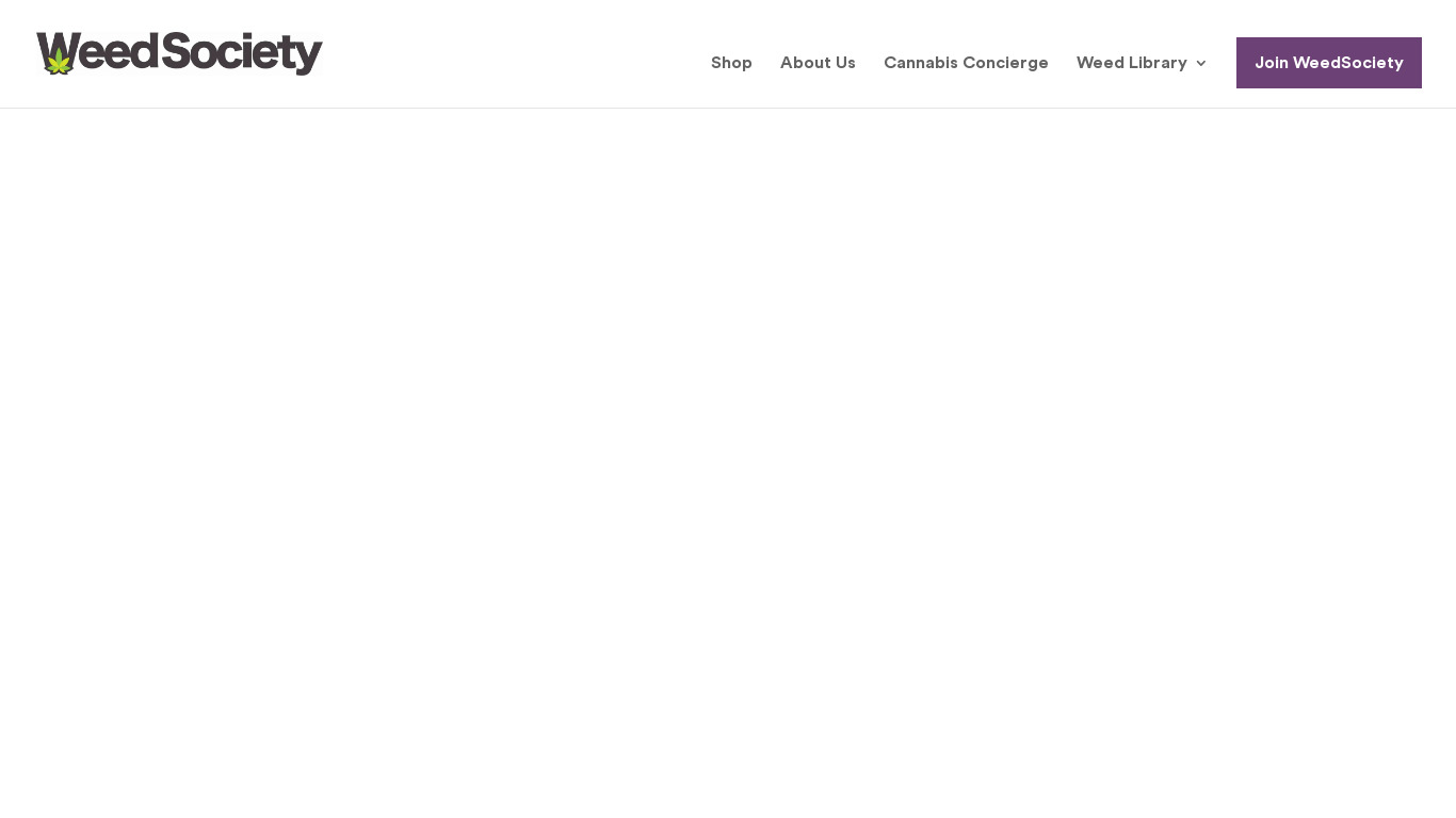 WS Basics Slides Landing page