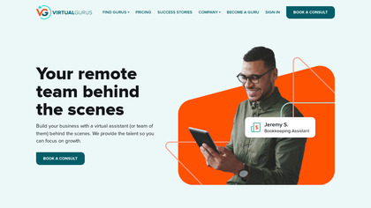 Virtual Gurus image