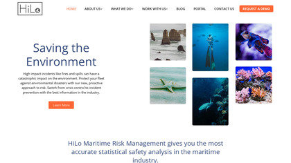 HiLo image