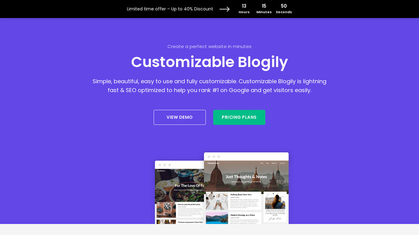 Customizable Blogily WordPress Theme Landing Page