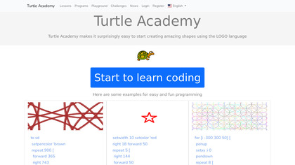 Turtle Academy image