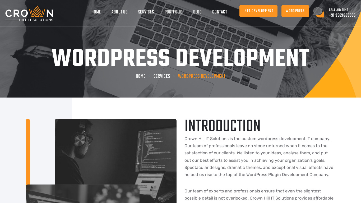Affordable Wordpress Optimization Servic Landing page