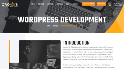 Affordable Wordpress Optimization Servic image