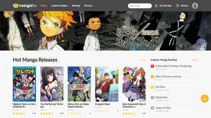 Manga Fox image