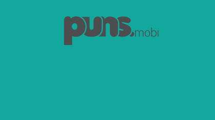 PUNS.mobi.mobi image