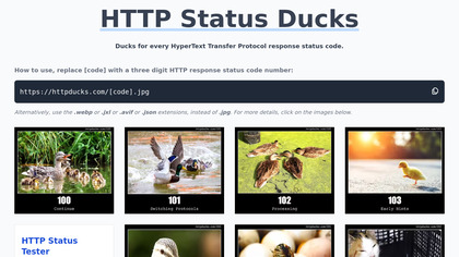 HTTP Status Ducks API image