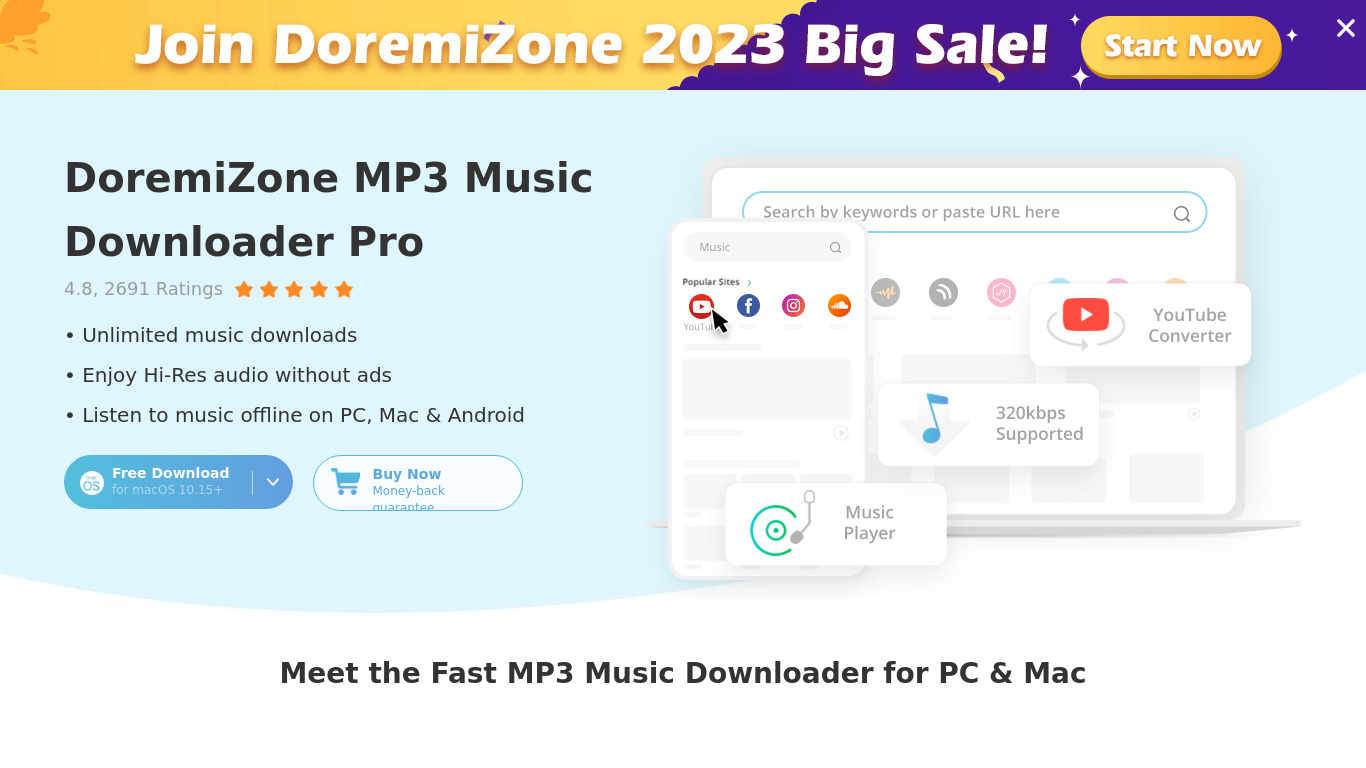DoremiZone Music Downloader Landing page