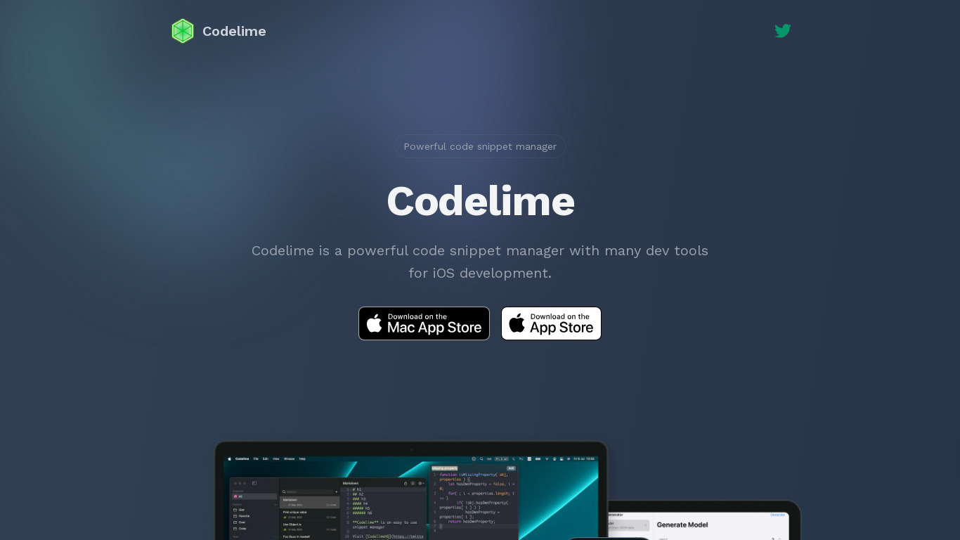 Codelime Landing page