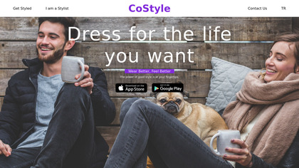 CoStyle image