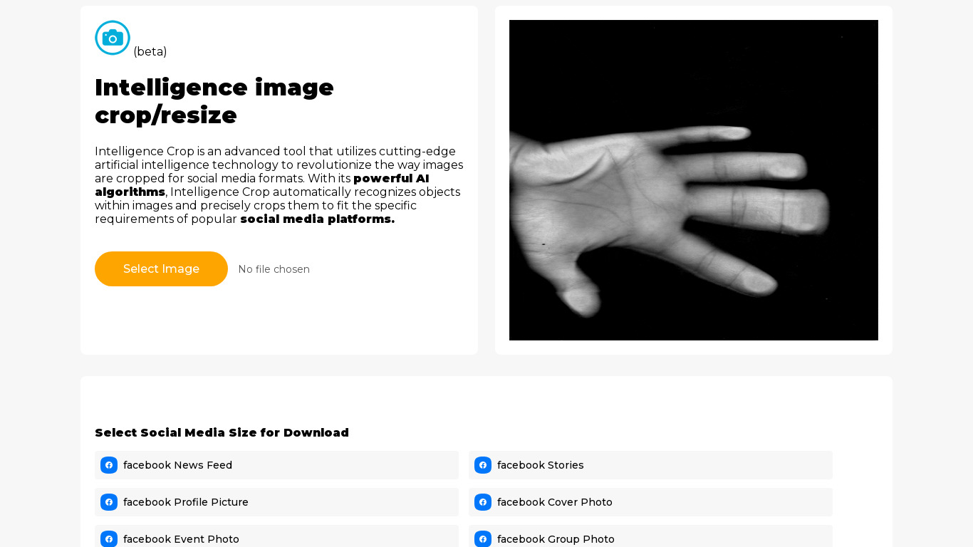 Intelligence image crop/resize by AI Landing page