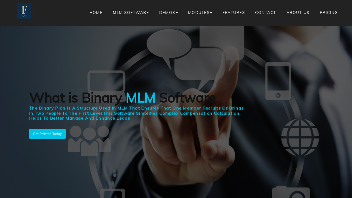 FINE MLM Software Landing page