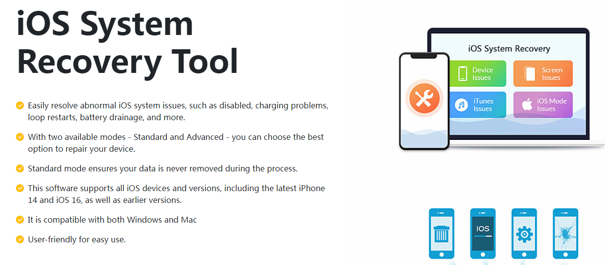 iDataApp iOS System Recovery Landing page
