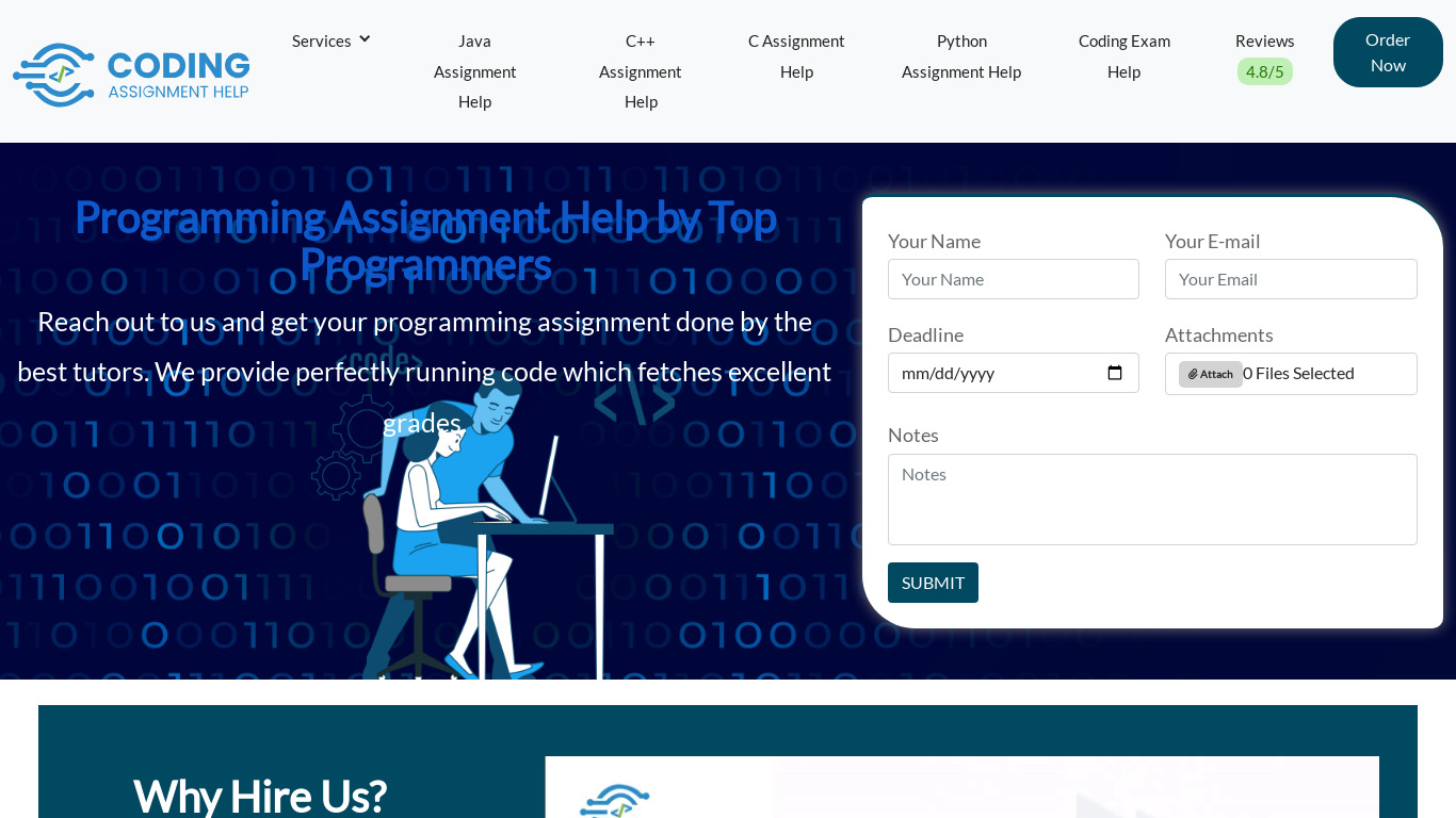Coding Assignment Help Landing page