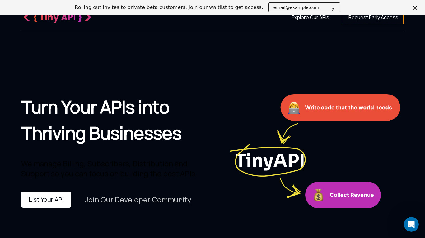 Tiny API Landing page