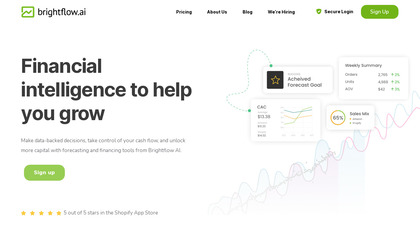 Brightflow AI image