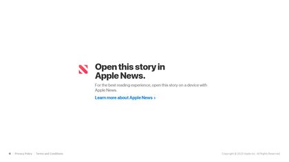 Apple News+ Audio image