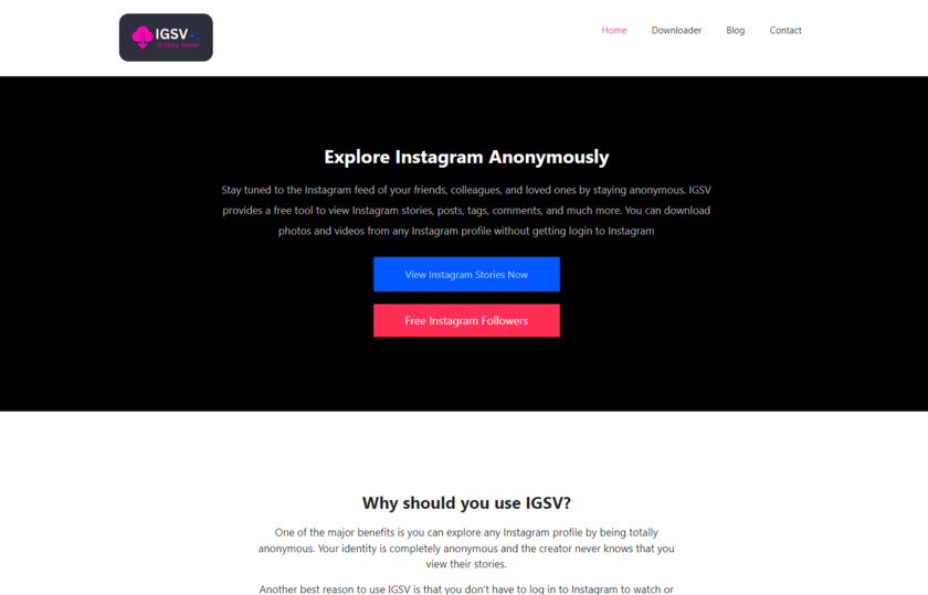 ig-story-viewer.com Landing Page