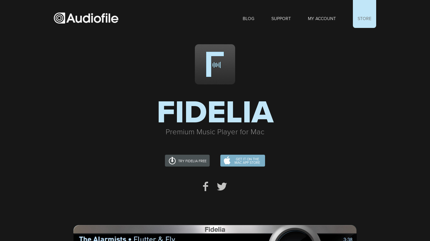 Fidelia Landing page