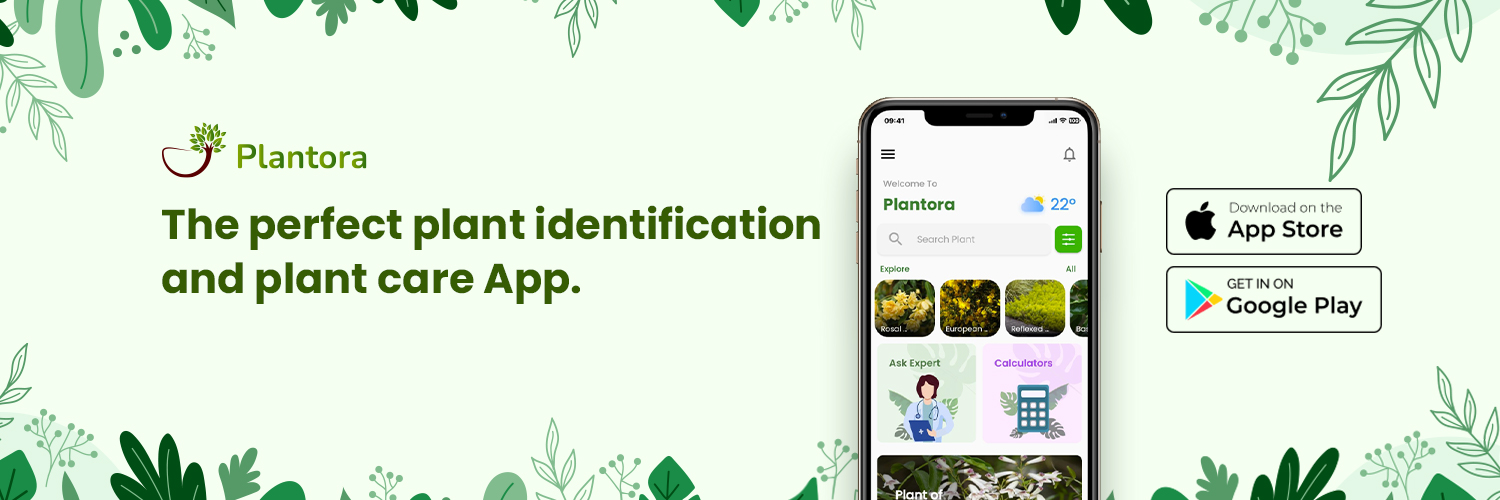 Plantora App Landing page