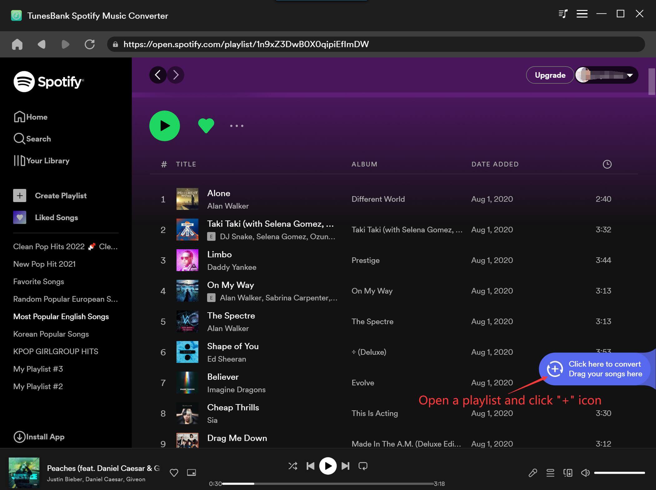 TunesBank Spotify Music Converter add Spotify songs and playlist
