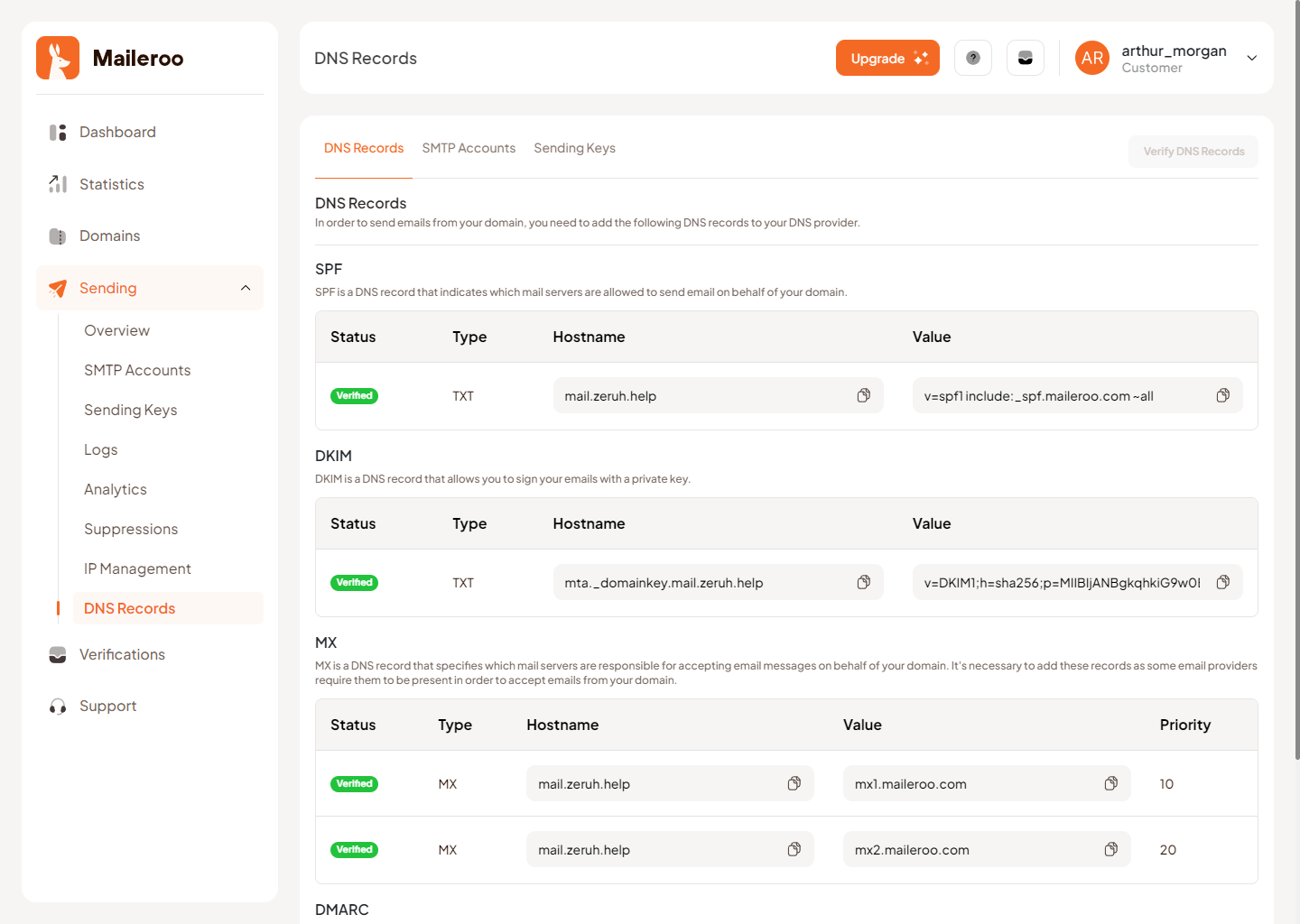 Maileroo DNS Configuration